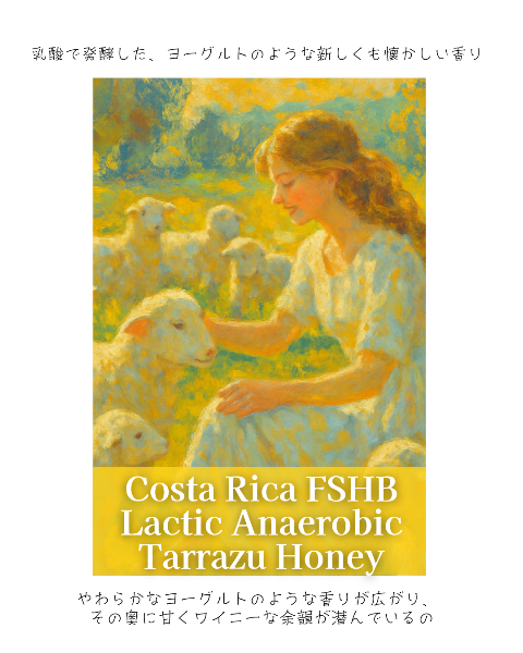 コスタリカ FSHB ラクティック アナエロビック タラス ハニー