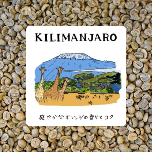 タンザニア キリマンジャロ 鮮やかなオレンジの香り