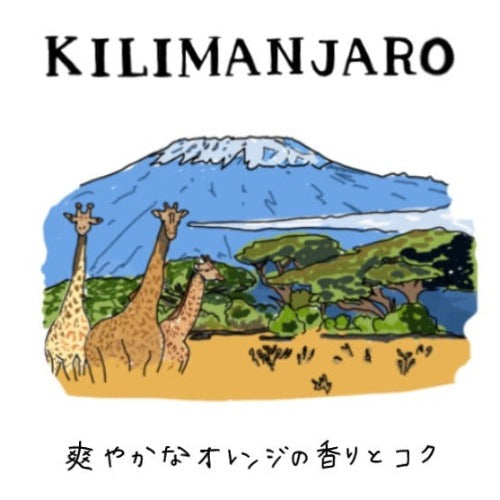 タンザニア キリマンジャロ 鮮やかなオレンジの香り