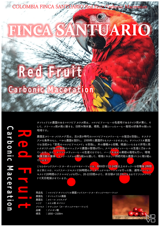 コロンビア サントゥアリオ農園 レッドフルーツ カーボニックマセレーション