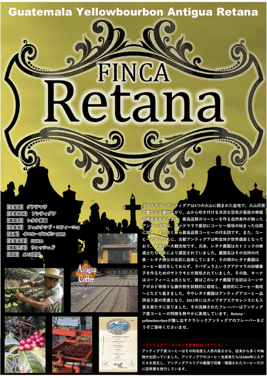 グアテマラSHB アンティグア レタナ農園 イエローブルボン (ウォッシュド )