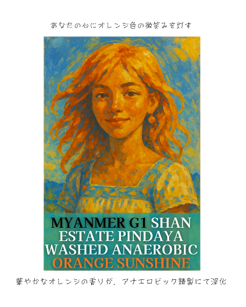 ミャンマー G1 シャン州 ピンダヤ村 ウォッシュド アナエロビック オレンジサンシャイン