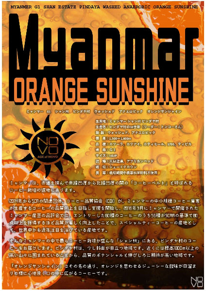 ミャンマー G1 シャン州 ピンダヤ村 ウォッシュド アナエロビック オレンジサンシャイン