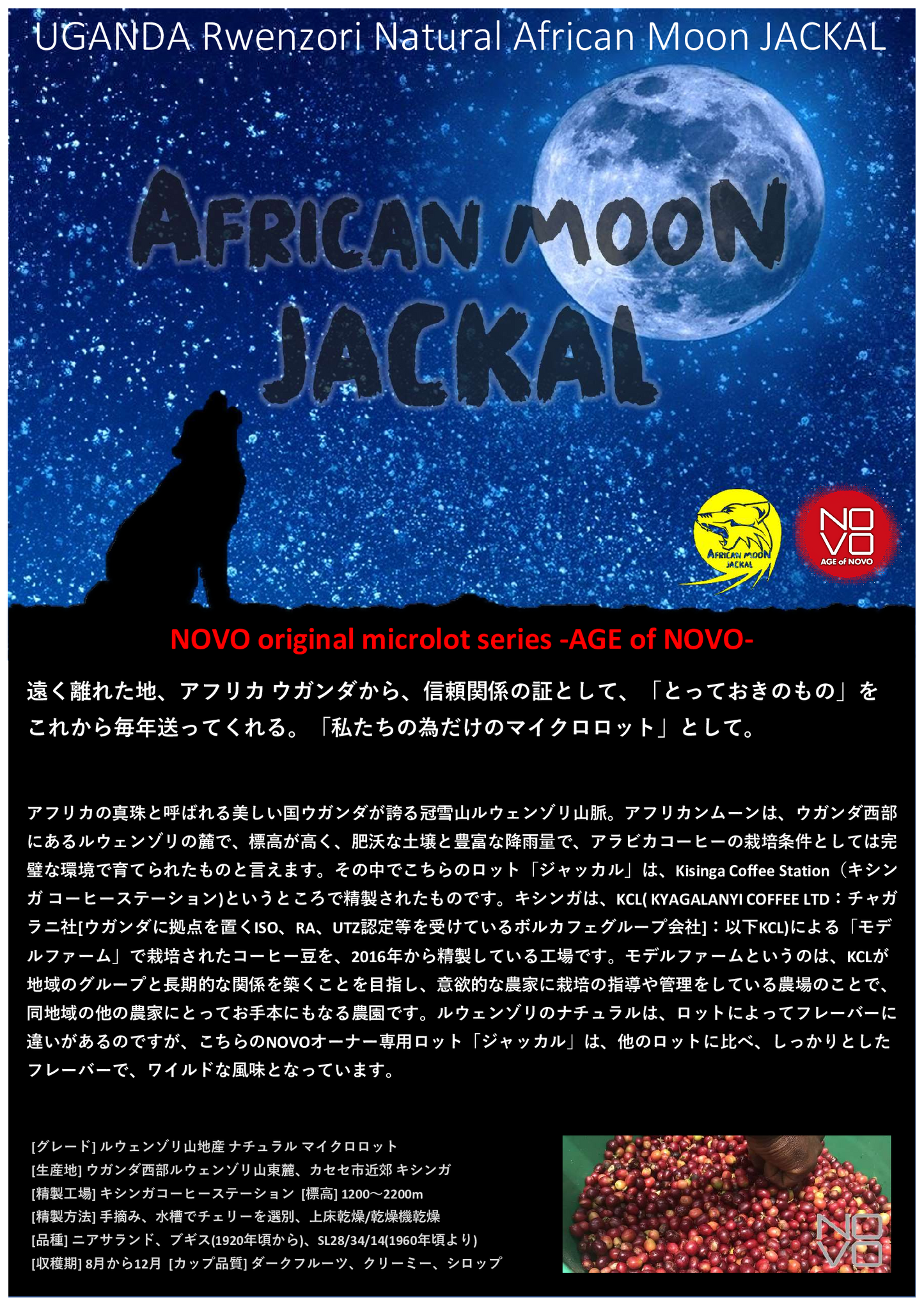 AFRICAN MOON JACKAL ルウェンゾリ 確かなフレーバーとワイルドな風味が特徴
