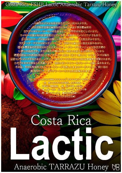 コスタリカ FSHB ラクティック アナエロビック タラス ハニー