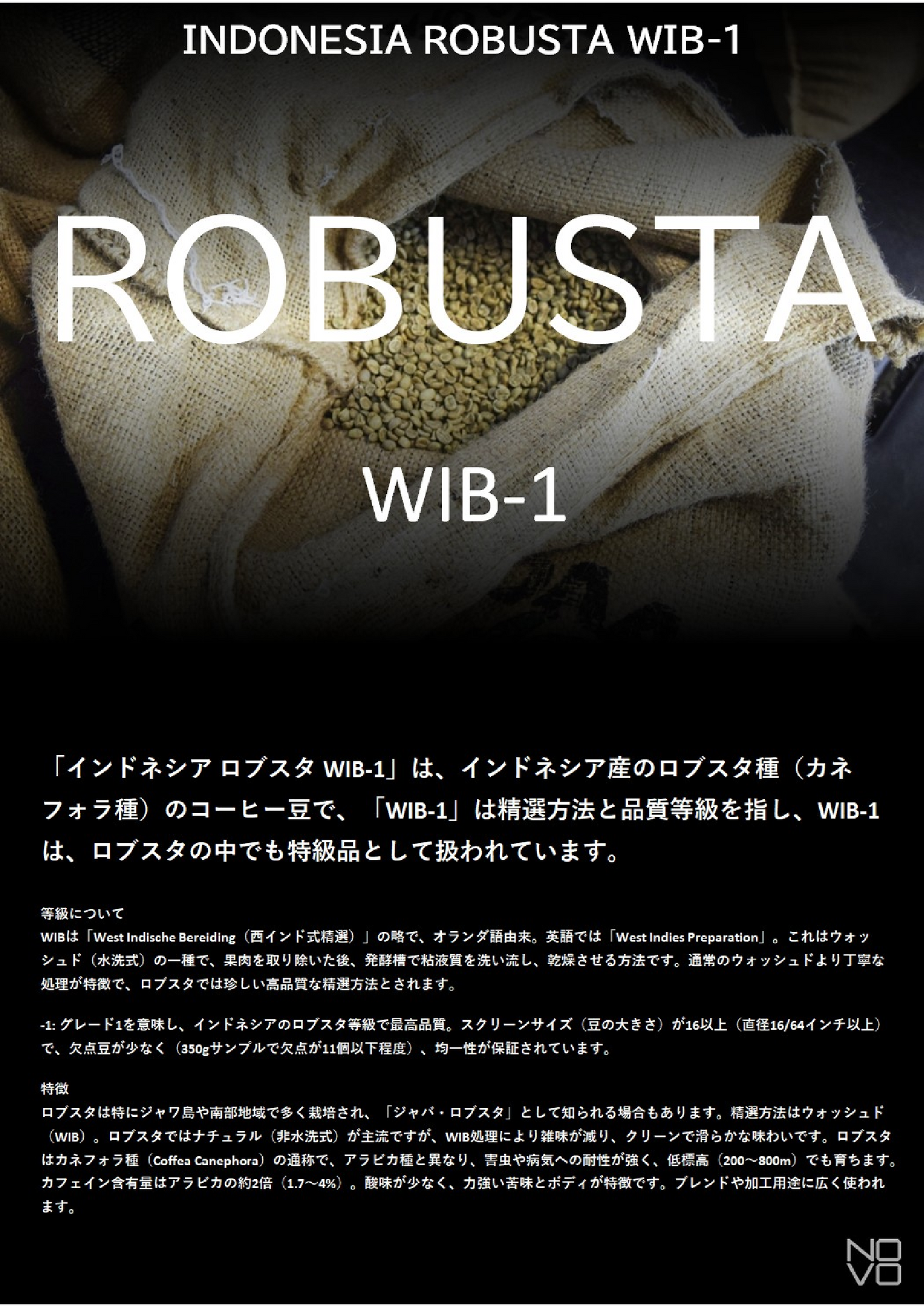 インドネシア WIB-1 ロブスタ プライベートM