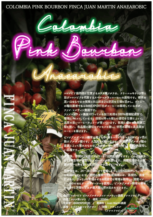 コロンビア ピンクブルボン ファンマルティン農園 アナエアロビコ ナチュラル
