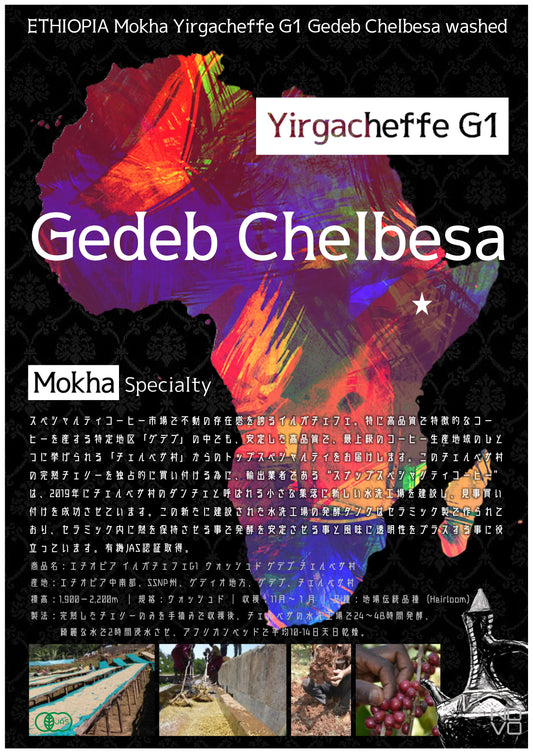 エチオピア モカ イルガチェフェG1 ウオッシュド ゲデブ チェルベサ村華 やかな甘みと紅茶の様な高貴な香り