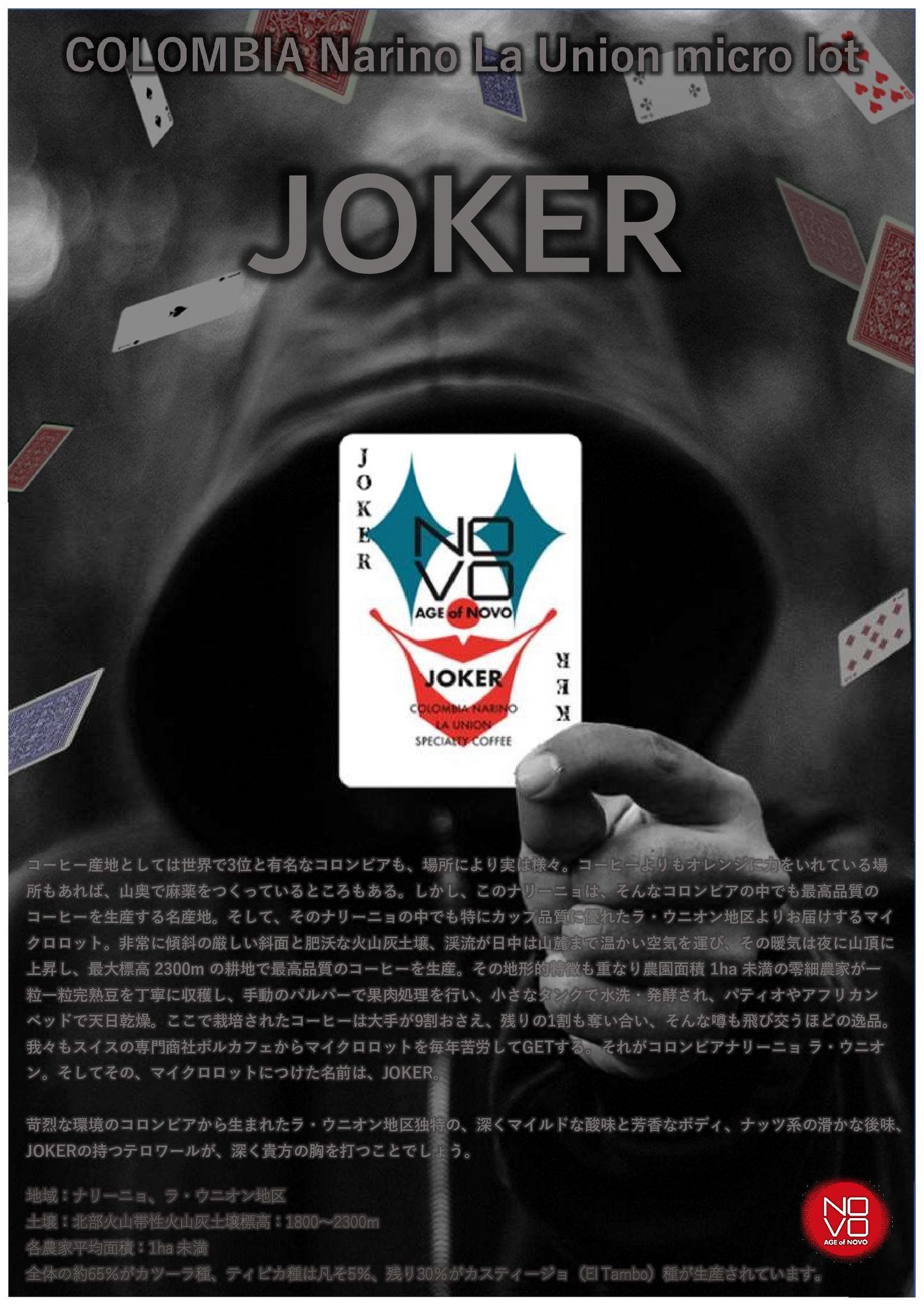 JOKER/コロンビア ナリーニョ ラウニオン 深いマイルドな酸味や芳香、ナッツ系の後味が特徴