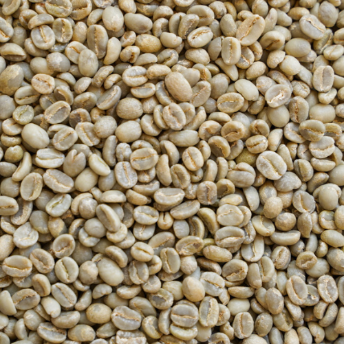 エチオピア モカ イルガチェフェG1 ウオッシュド ゲデブ チェルベサ村華 やかな甘みと紅茶の様な高貴な香り