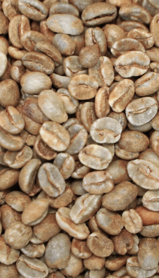 コロンビア サントゥアリオ農園 レッドフルーツ カーボニックマセレーション