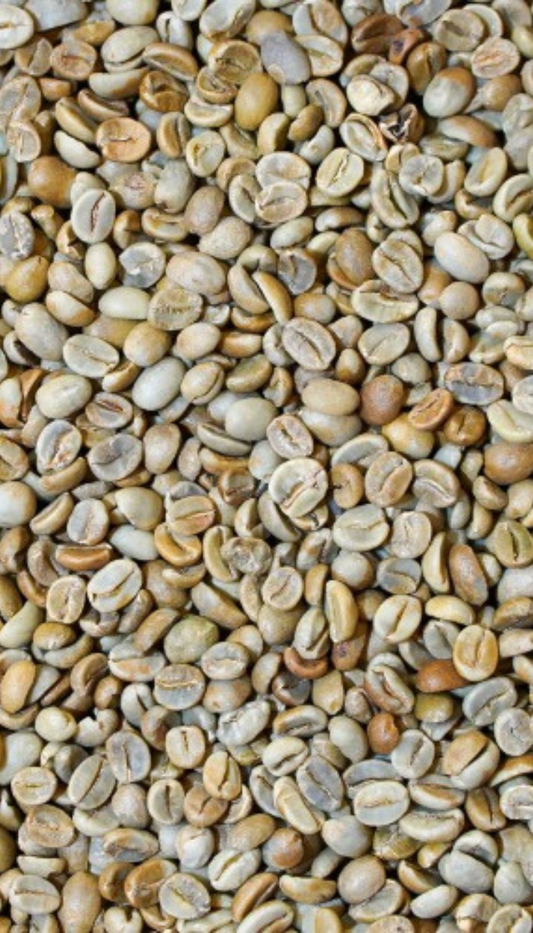 AFRICAN MOON JACKAL ルウェンゾリ 確かなフレーバーとワイルドな風味が特徴