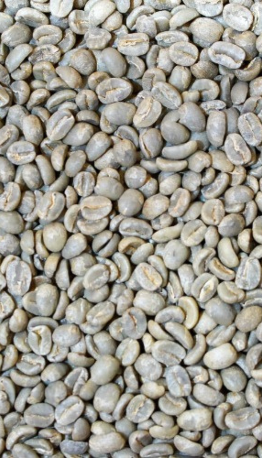 ケニア トマトレッド / 爽やかさと酸味と苦味の絶妙なバランスの味わい