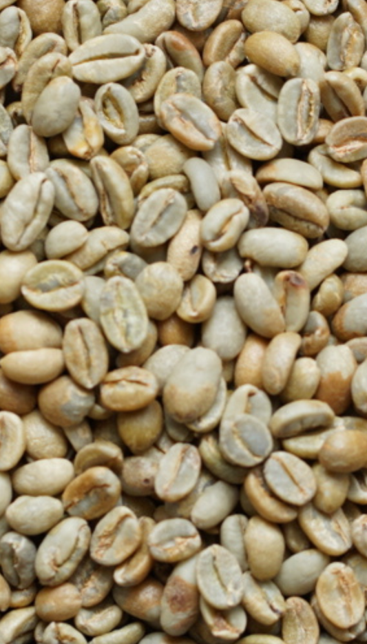 エチオピア モカ イルガチェフェG1 コンガ ナチュラル