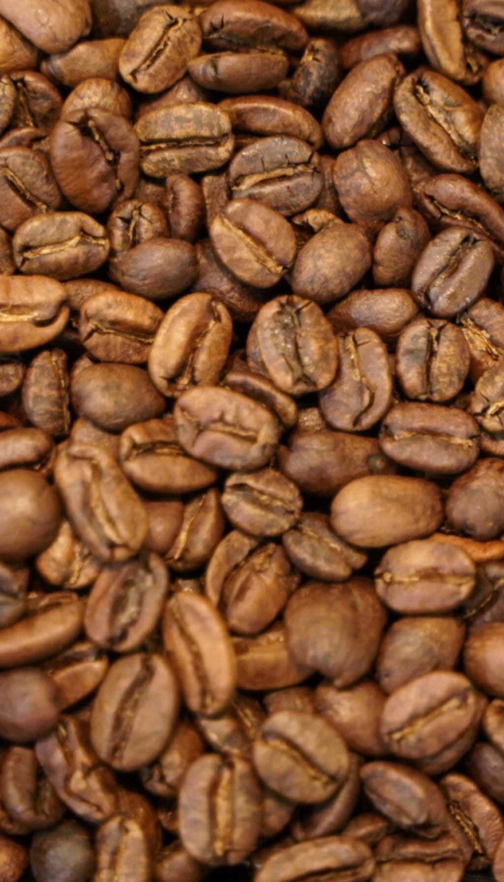 コロンビア サントゥアリオ農園 パッションフルーツ カーボニックマセレーション