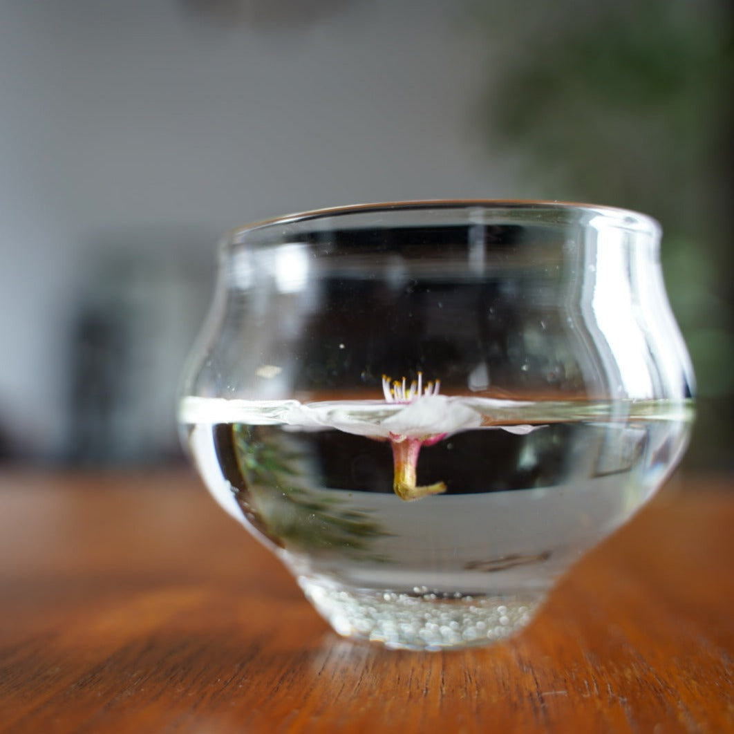 冷茶グラス 琵琶湖彩 glass imeca 神永朱美