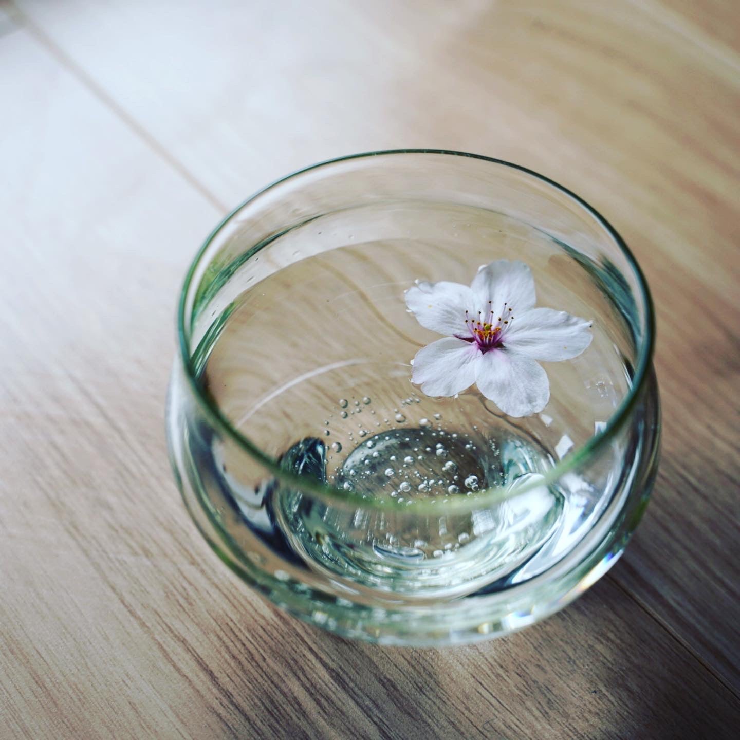 冷茶グラス 琵琶湖彩 glass imeca 神永朱美