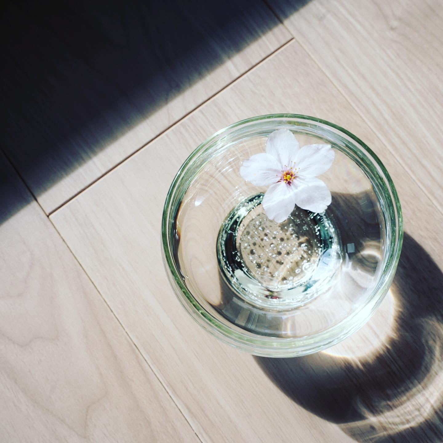 冷茶グラス 琵琶湖彩 glass imeca 神永朱美