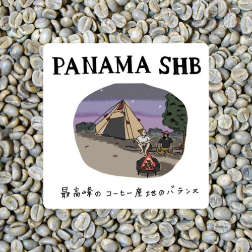 パナマSHBボルカンバルー/パナマの気品ある逸品！