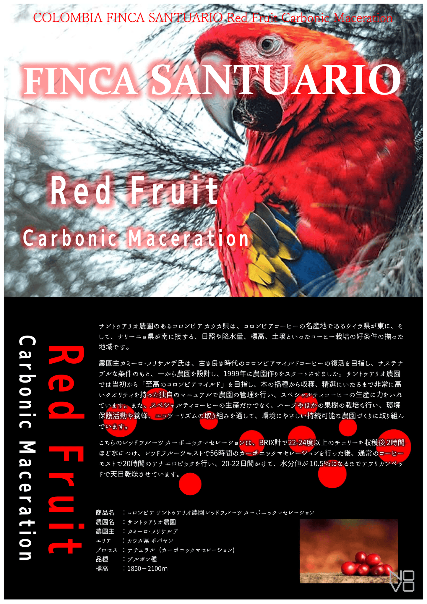 コロンビア サントゥアリオ農園 レッドフルーツ カーボニックマセレーション