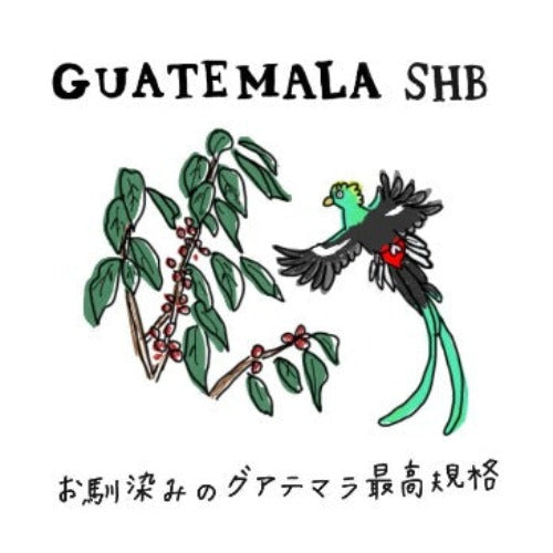 グアテマラ SHB