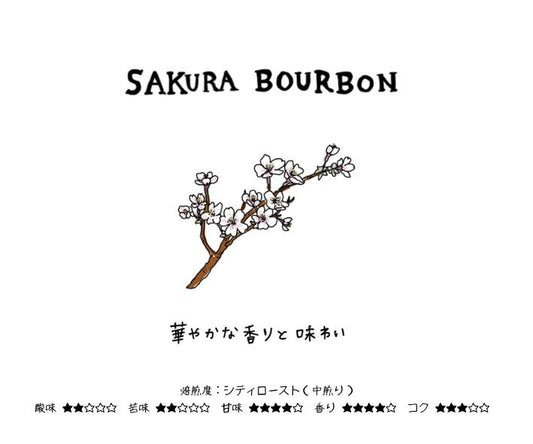 桜ブルボン　～BRAZIL Bourbon Amarelo SantaLuzia～