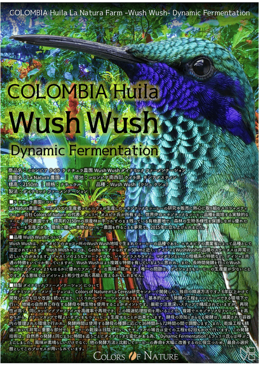 コロンビアウシュウシュ ウイラ ラ ナチュラ 農園 ダイナミックファーメンテーション　ナチュラル