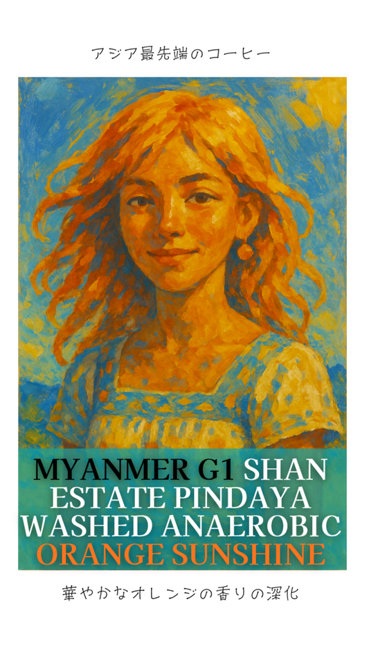 ミャンマー G1 シャン州 ピンダヤ村 ウォッシュド アナエロビック オレンジサンシャイン  【推奨焙煎度：ハイロースト】