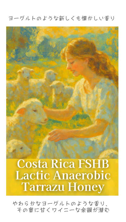 コスタリカ FSHB ラクティック アナエロビック タラス ハニー 【推奨焙煎度 :ハイロースト or フルシティロースト】