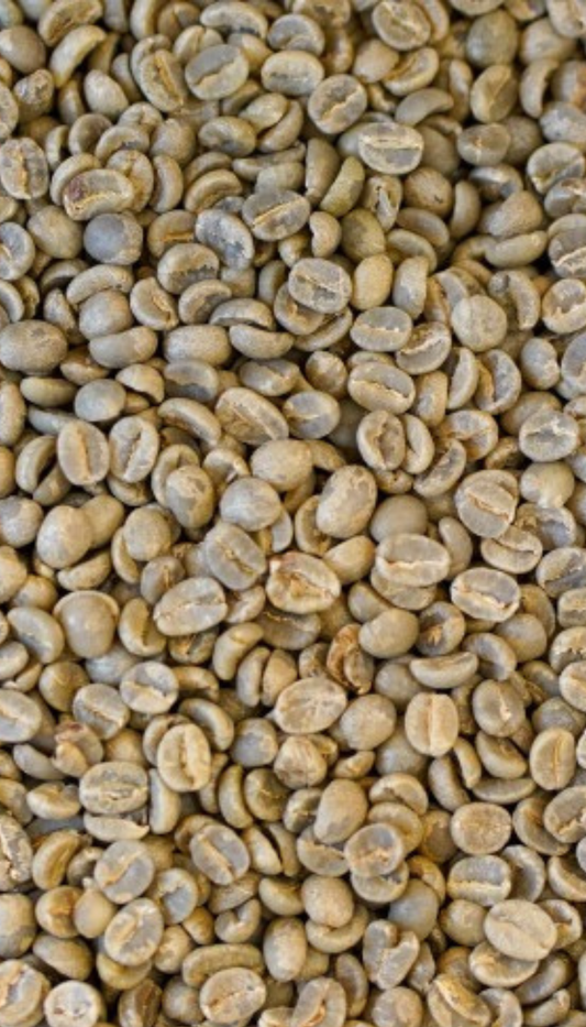 タンザニア キリマンジャロ　鮮やかなオレンジの香り