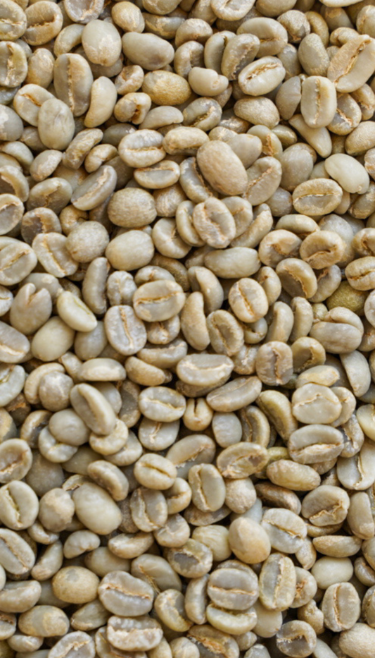 エチオピア モカ イルガチェフェG1 ウオッシュド ゲデブ チェルベサ村華　やかな甘みと紅茶の様な高貴な香り