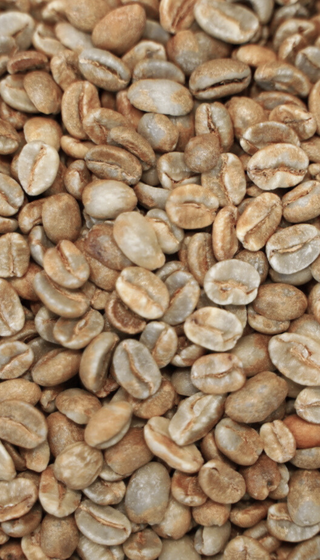 コロンビア サントゥアリオ農園　パッションフルーツ カーボニックマセレーション