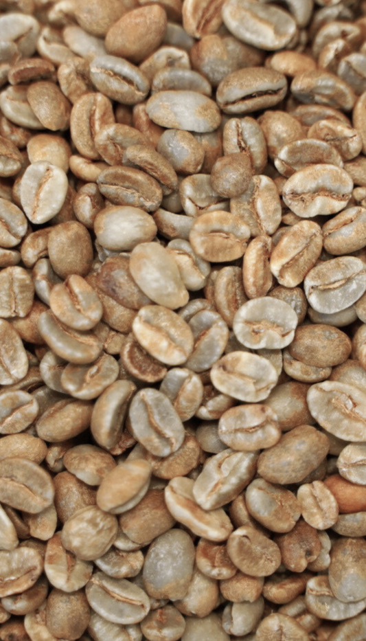 コロンビア サントゥアリオ農園　パッションフルーツ カーボニックマセレーション